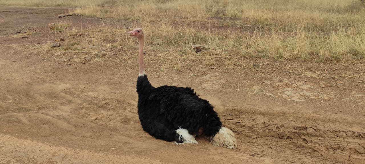 HighMak Adventures banner image 2