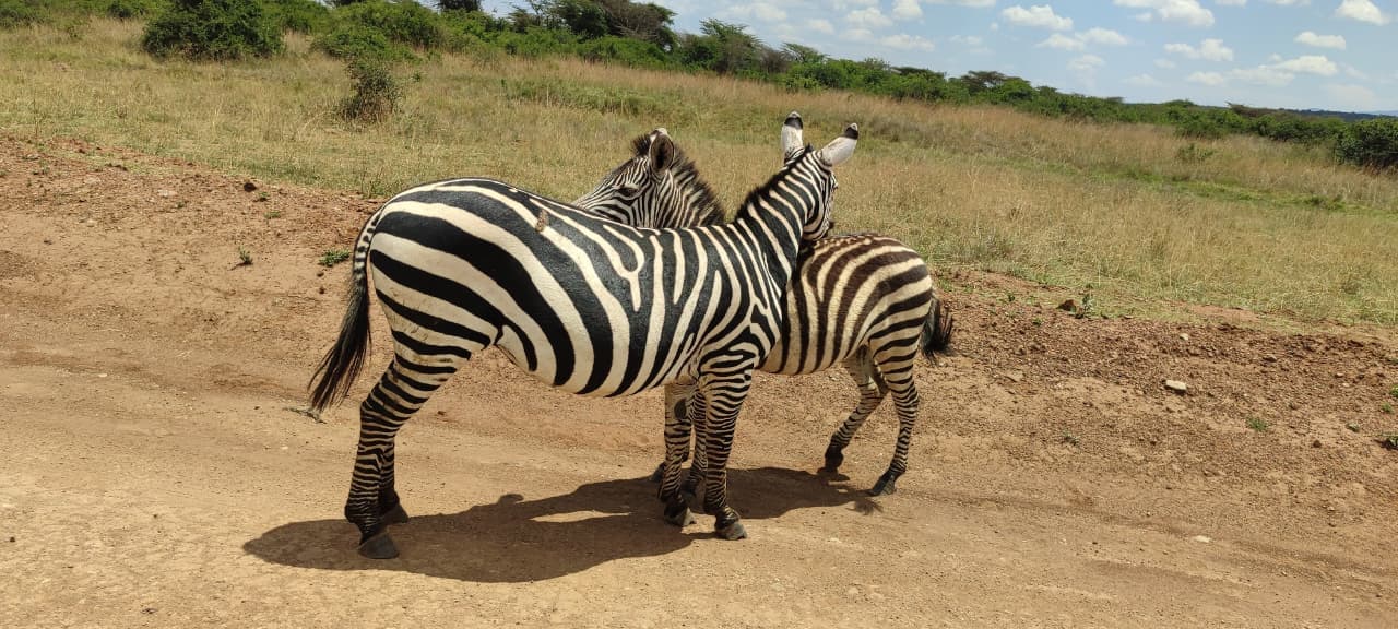 HighMak Adventures banner image 3