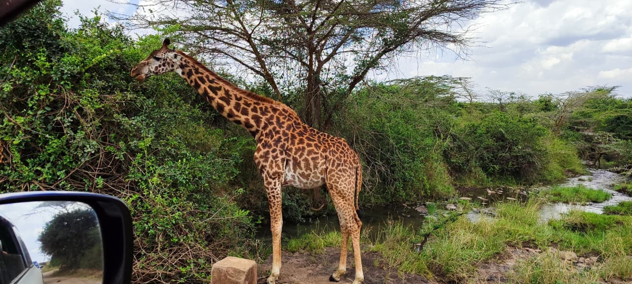 HighMak Adventures banner image 4