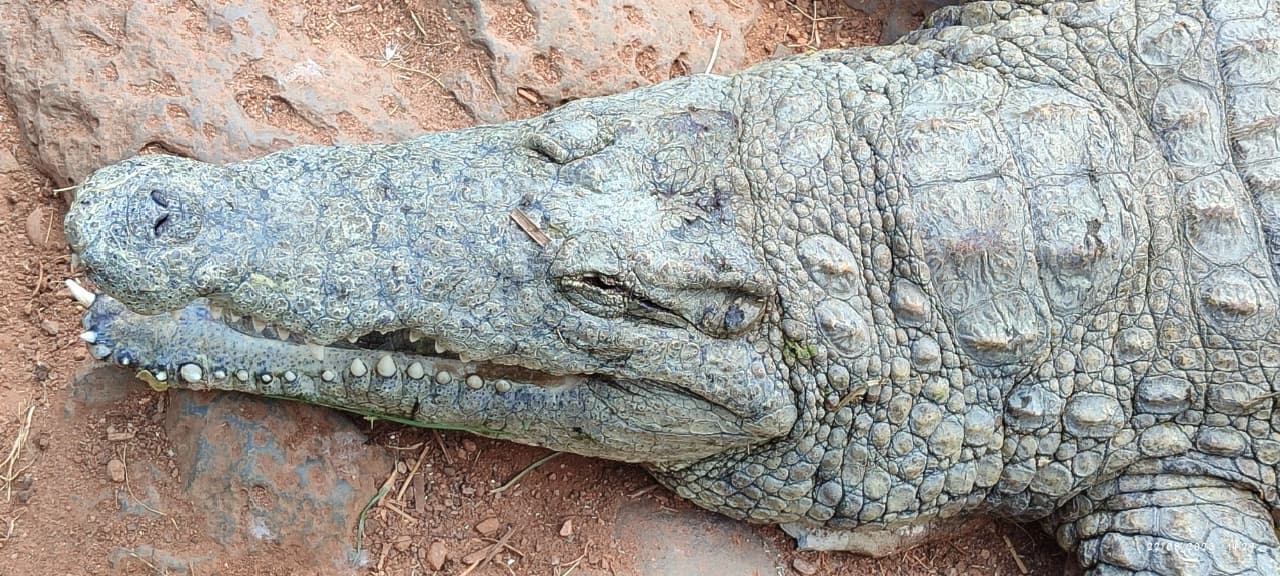 HighMak Adventures banner image 5