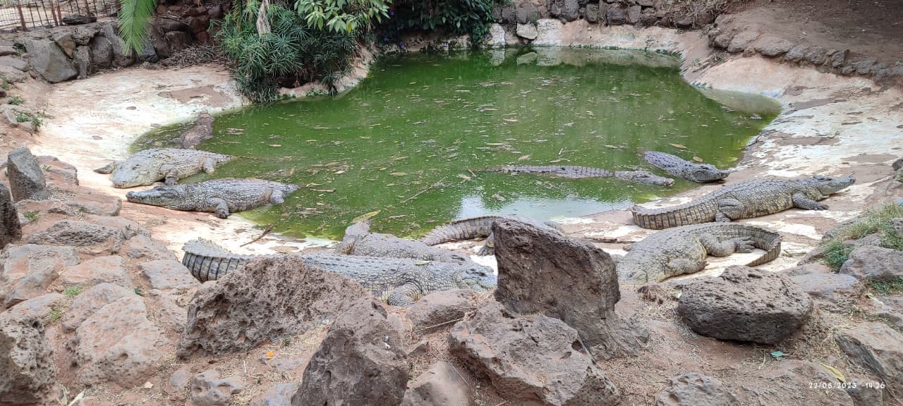 HighMak Adventures banner image 6