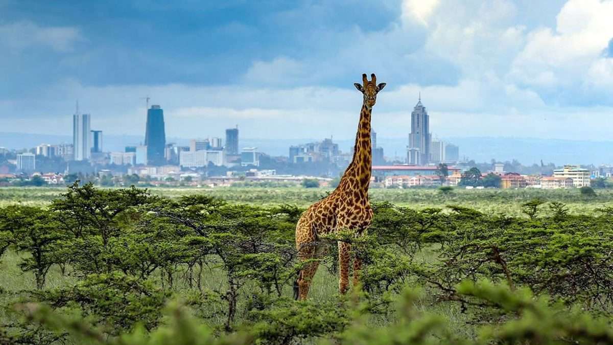 Nairobi City Excursion