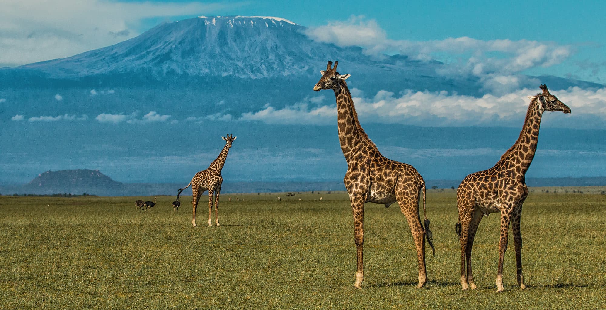 3 Days 2 Nights Amboseli (Sentrim Amboseli)