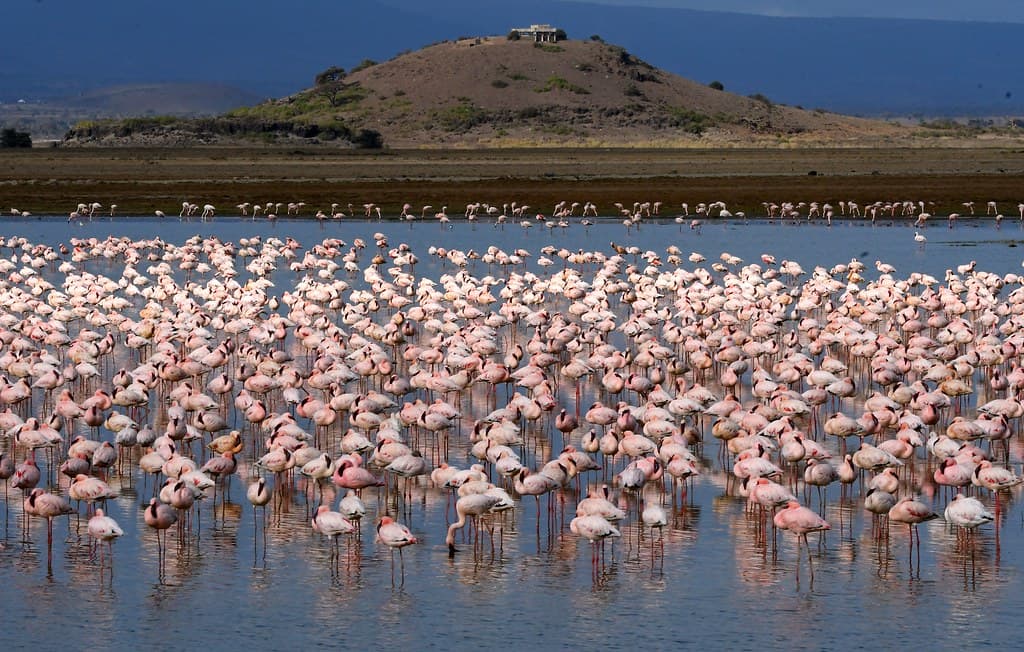 3 Days 2 Nights Amboseli (Sentrim Amboseli)