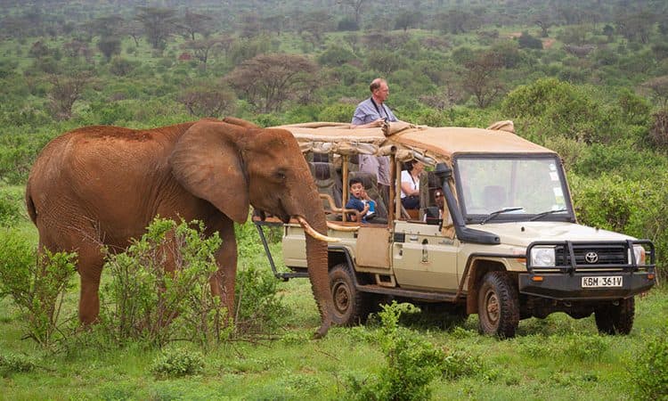 Short Affordable Private Safaris