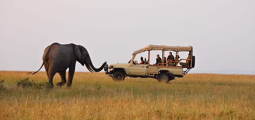 3 Days 2 Nights Masai Mara Joining Safari